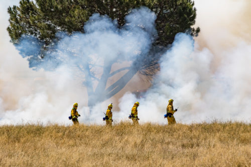 fire goggles