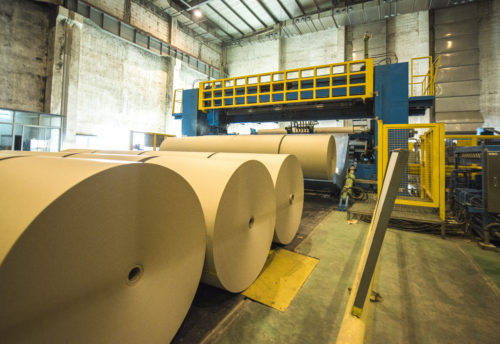 Paper Mill PPE safety